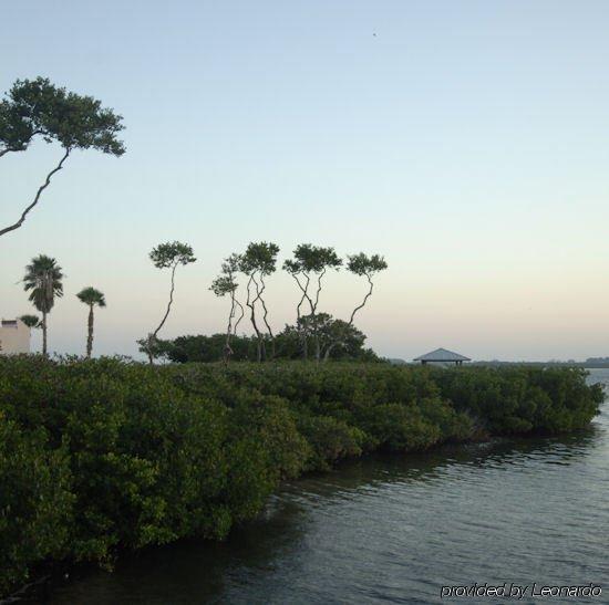 Tradewinds Resort By Resortquest Bradenton Beach Dış mekan fotoğraf